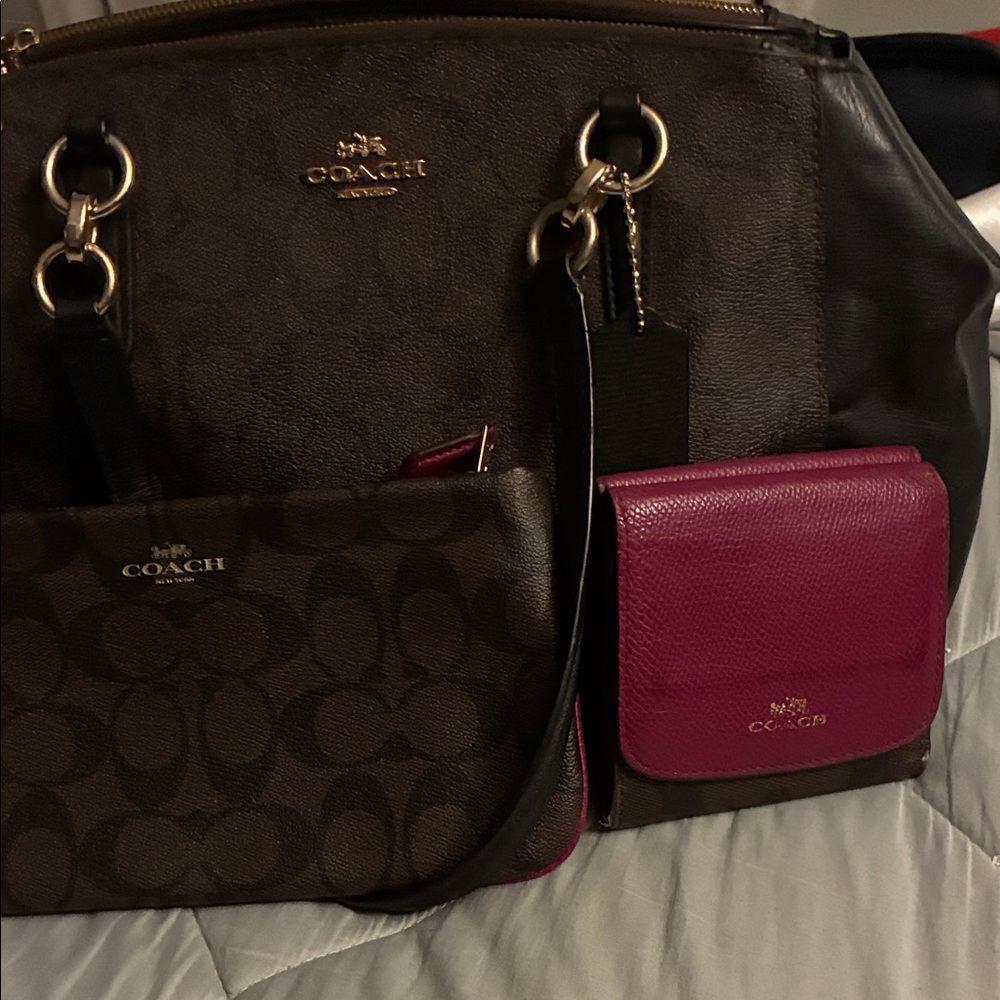 Coach Dark Brown and Magenta Bag Set